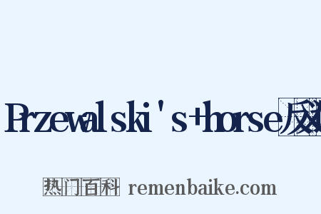 Przewalski's+horse反义词是什么意思的图片